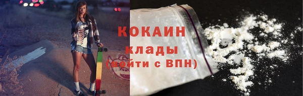 спиды Богданович