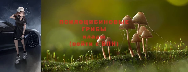 ПСИЛОЦИБИНОВЫЕ ГРИБЫ Беломорск