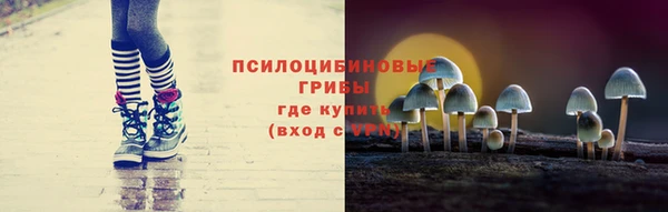 2c-b Белокуриха