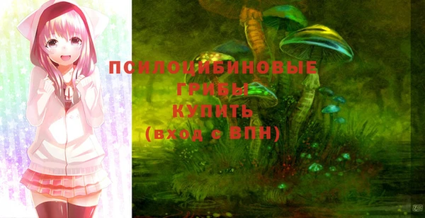 2c-b Белокуриха