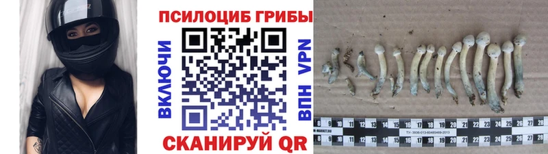 OMG зеркало  Красный Холм  Галлюциногенные грибы мицелий  купить наркоту 